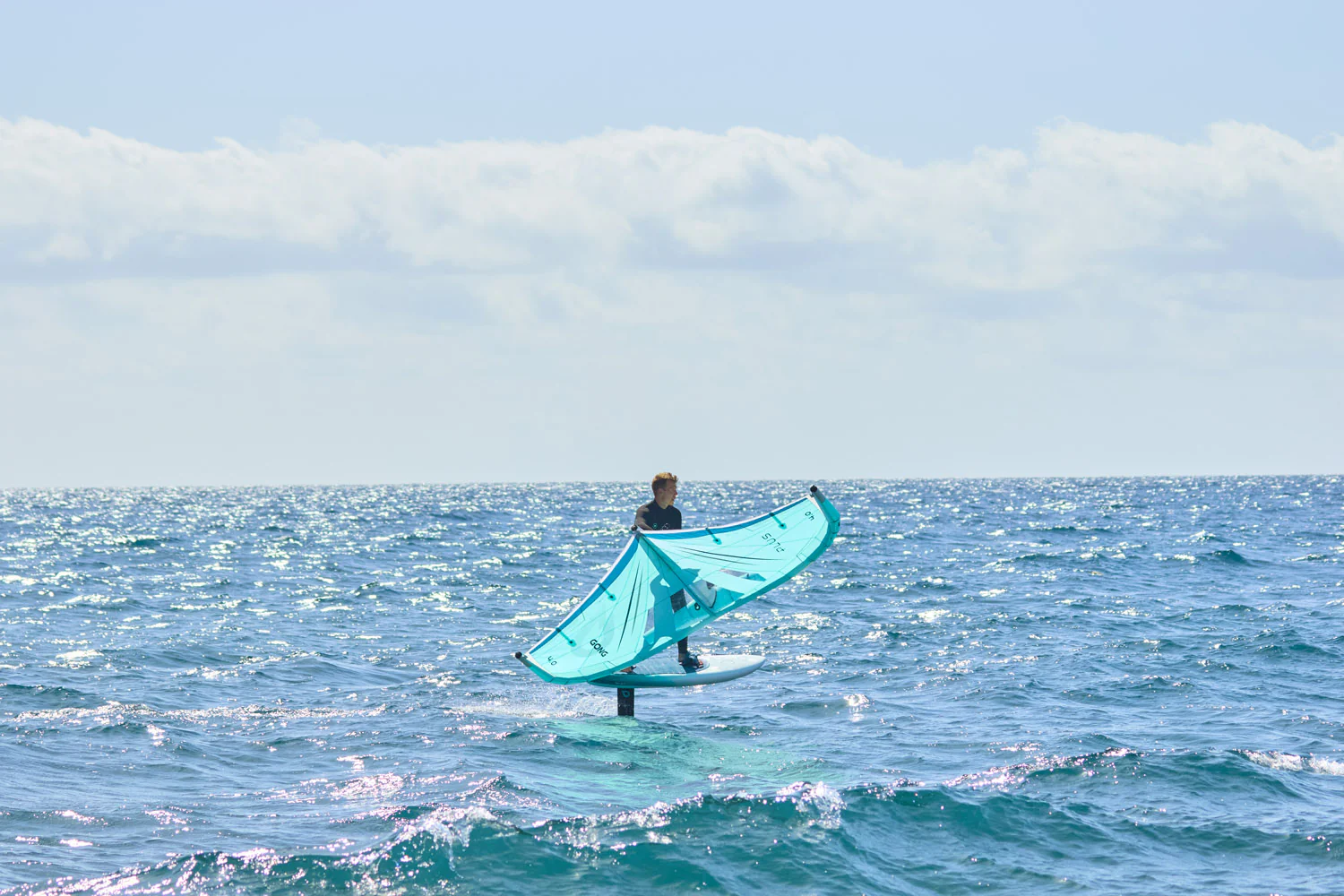 GONG | Foil Carbon Mast 85 cm V3 - Image 11