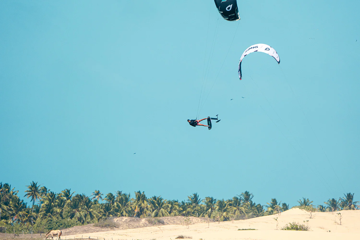 GONG | Kite Ayto Aramid - Image 14