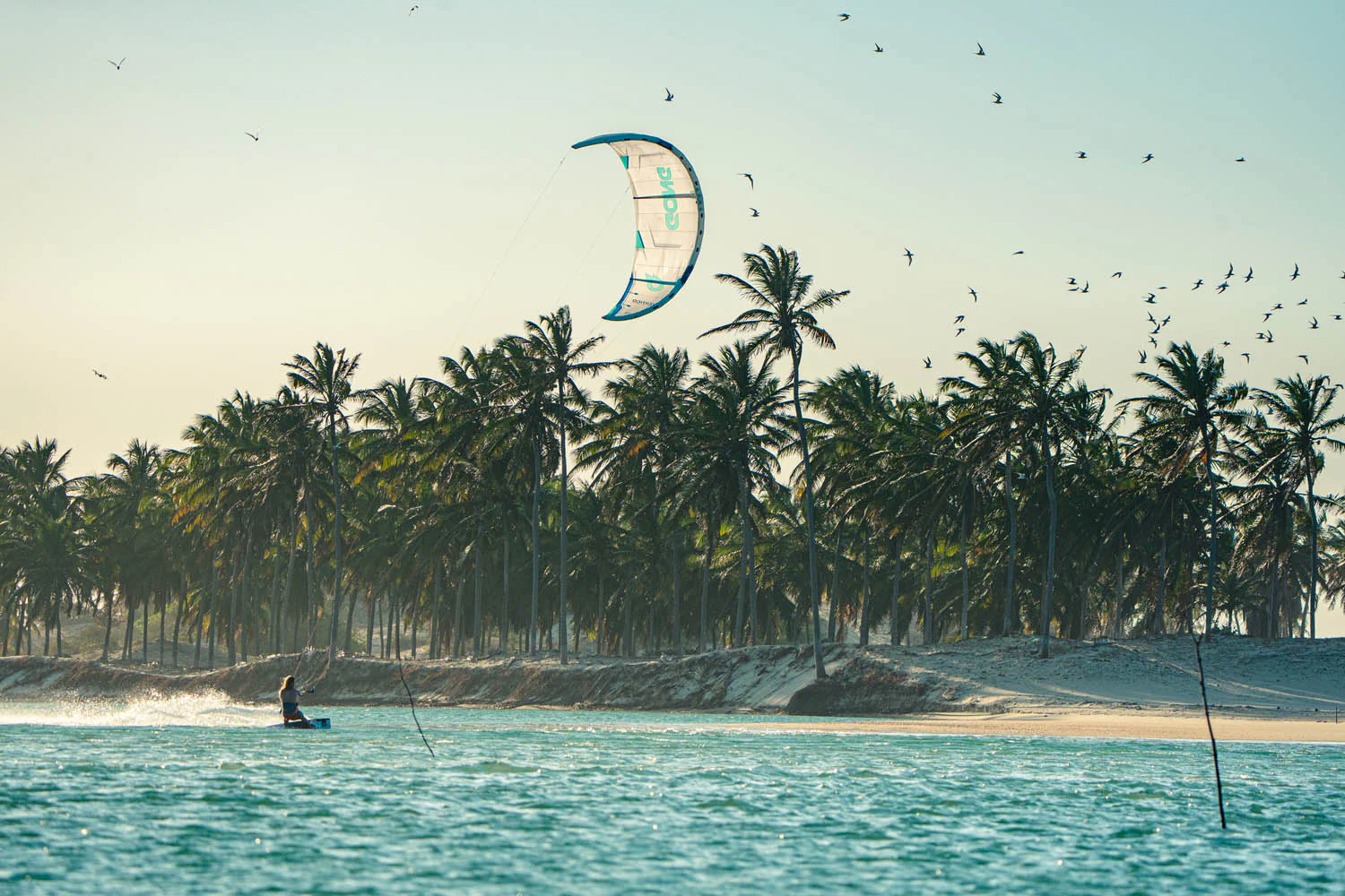 GONG | Kite Vertigo - Image 7