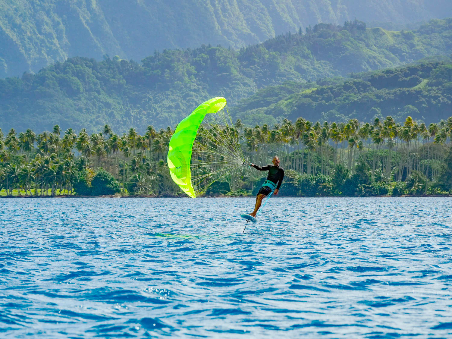 GONG | Lowkite Plus - Image 16