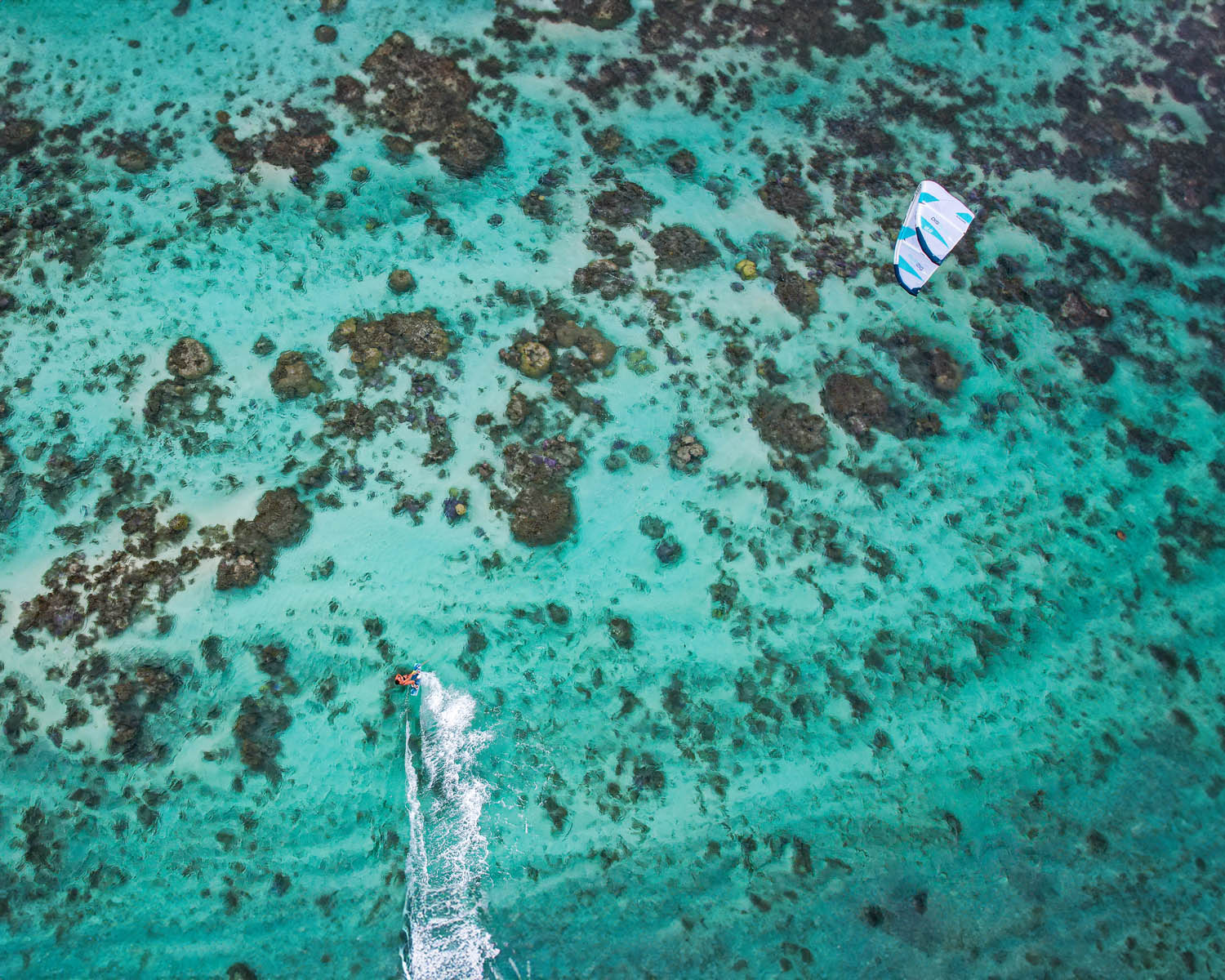 Pack | Pack Kite Display & Twintip Sway - Image 23