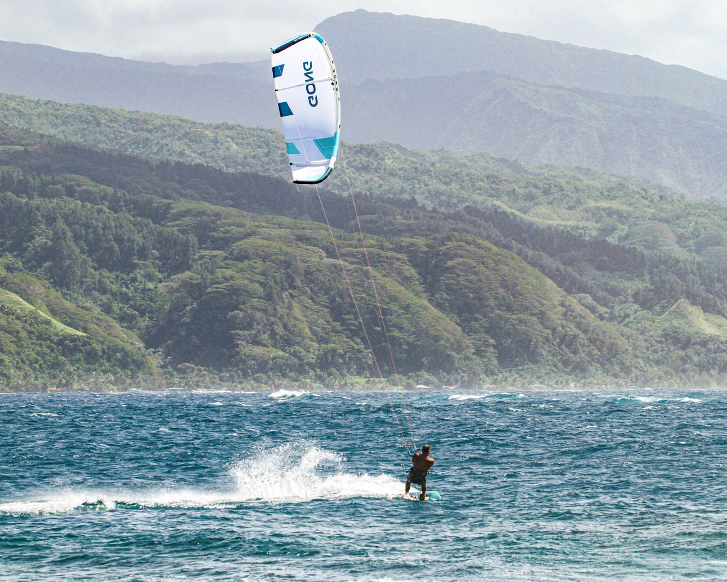 Pack | Pack Kite Display & Twintip Sway - Image 25
