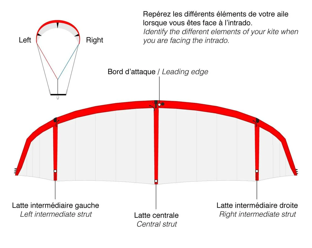 GONG | Kite Struted Bladder - Image 2