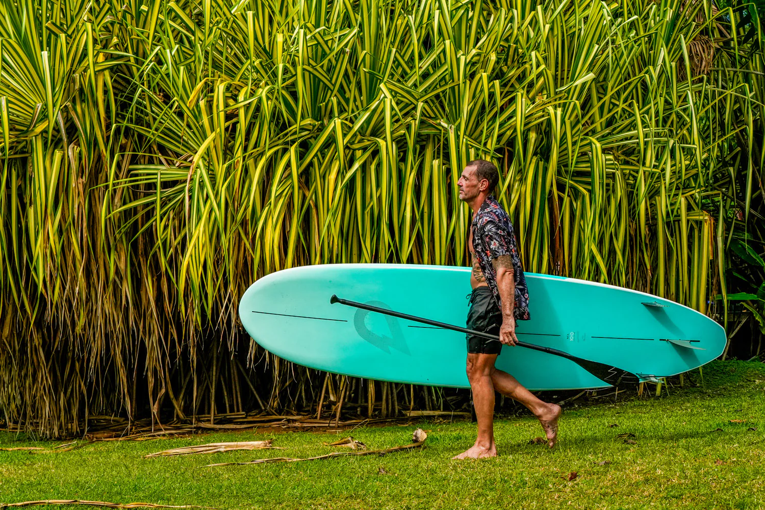 GONG | SUP NFA FSP 2X - Image 20