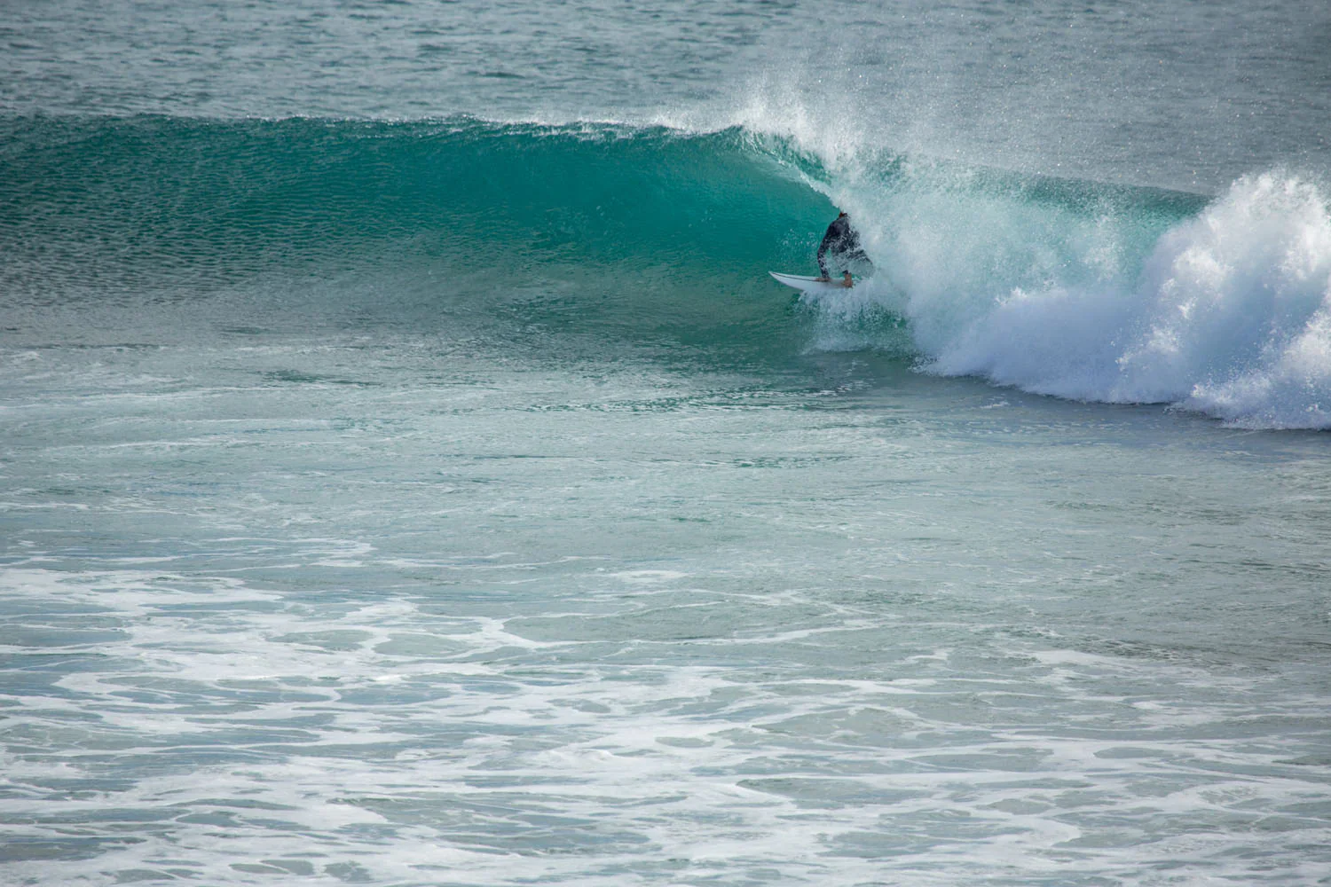 GONG | Surf Atomic PU - Image 15