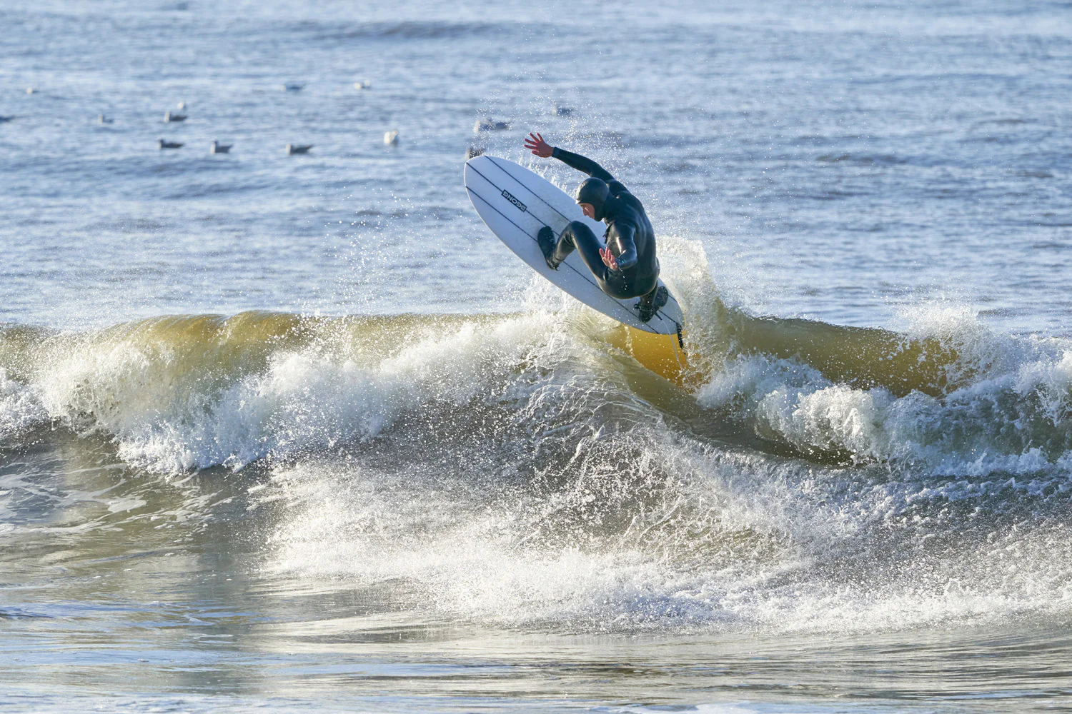 GONG | Surf Carter EPS - Image 10