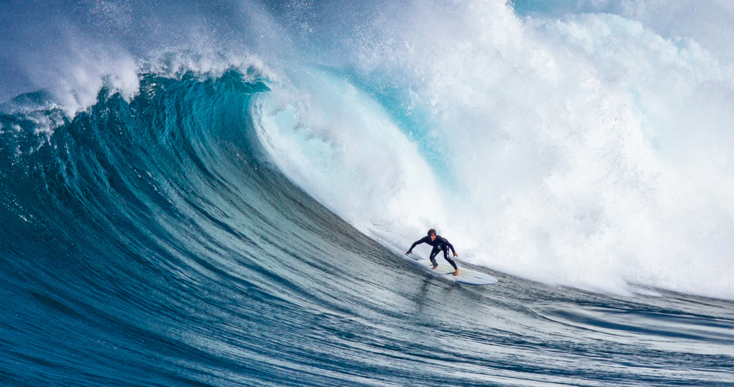 GONG | Surf Carter EPS - Image 11