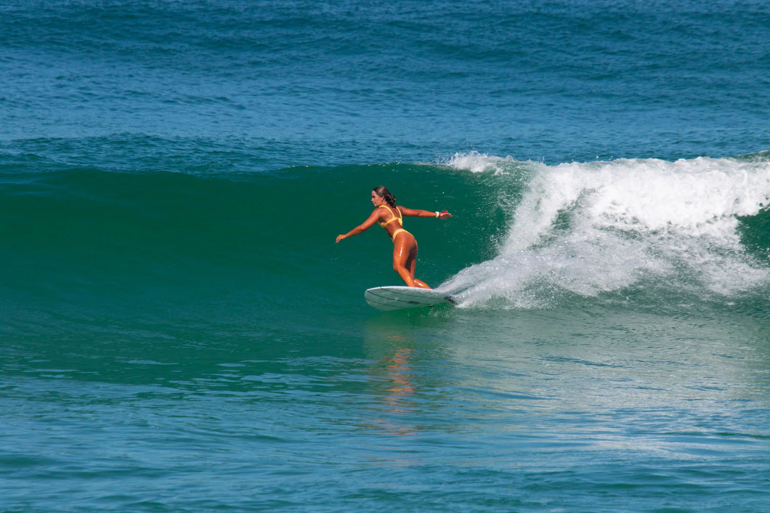 GONG | Surf Carter EPS - Image 16