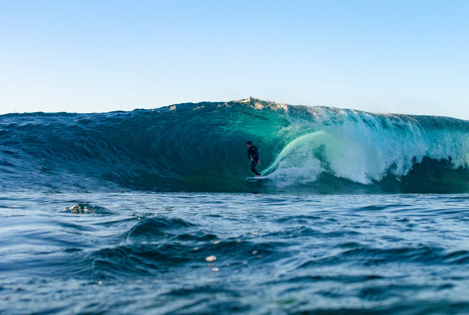GONG | Surf Carter EPS - Image 9