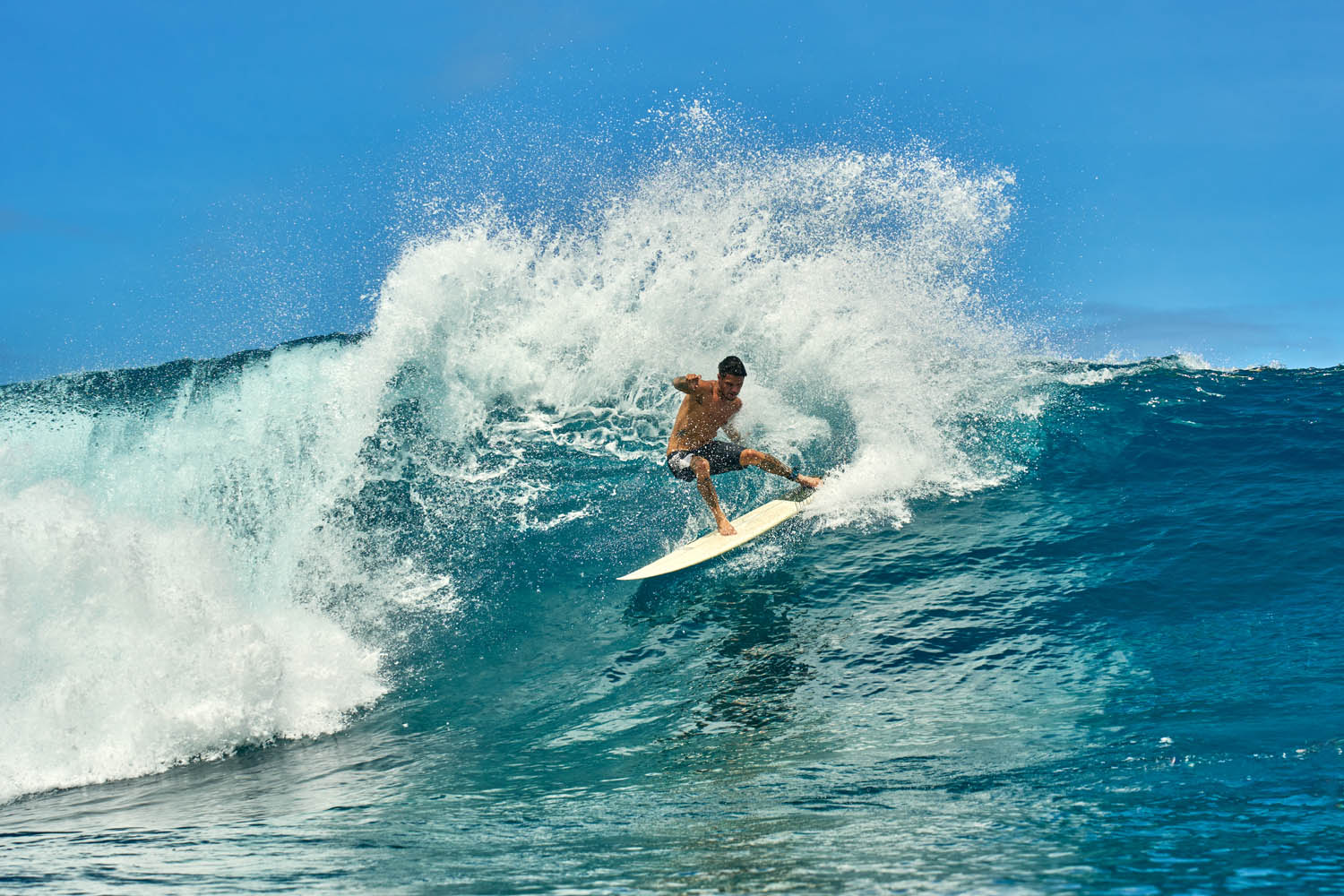 GONG | Surf Chemical EPS Pro - Image 14