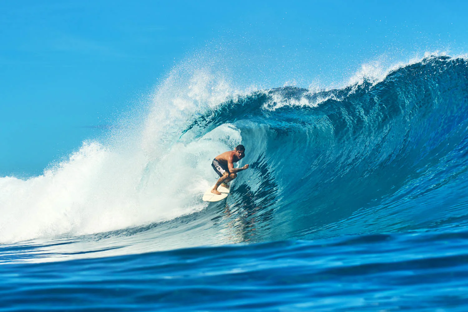 GONG | Surf Chemical PU - Image 11