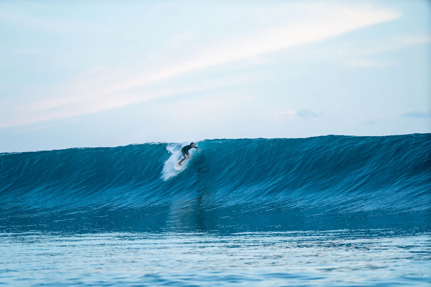 GONG | Surf Lethal PU - Image 11
