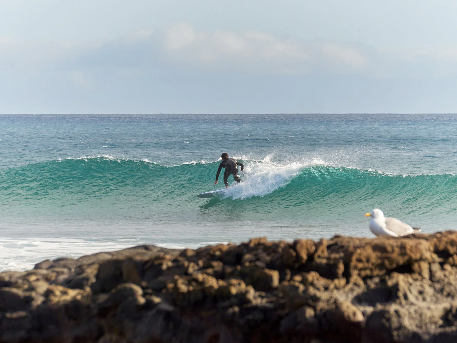 GONG | Surf Matata Simone EPS - Image 15