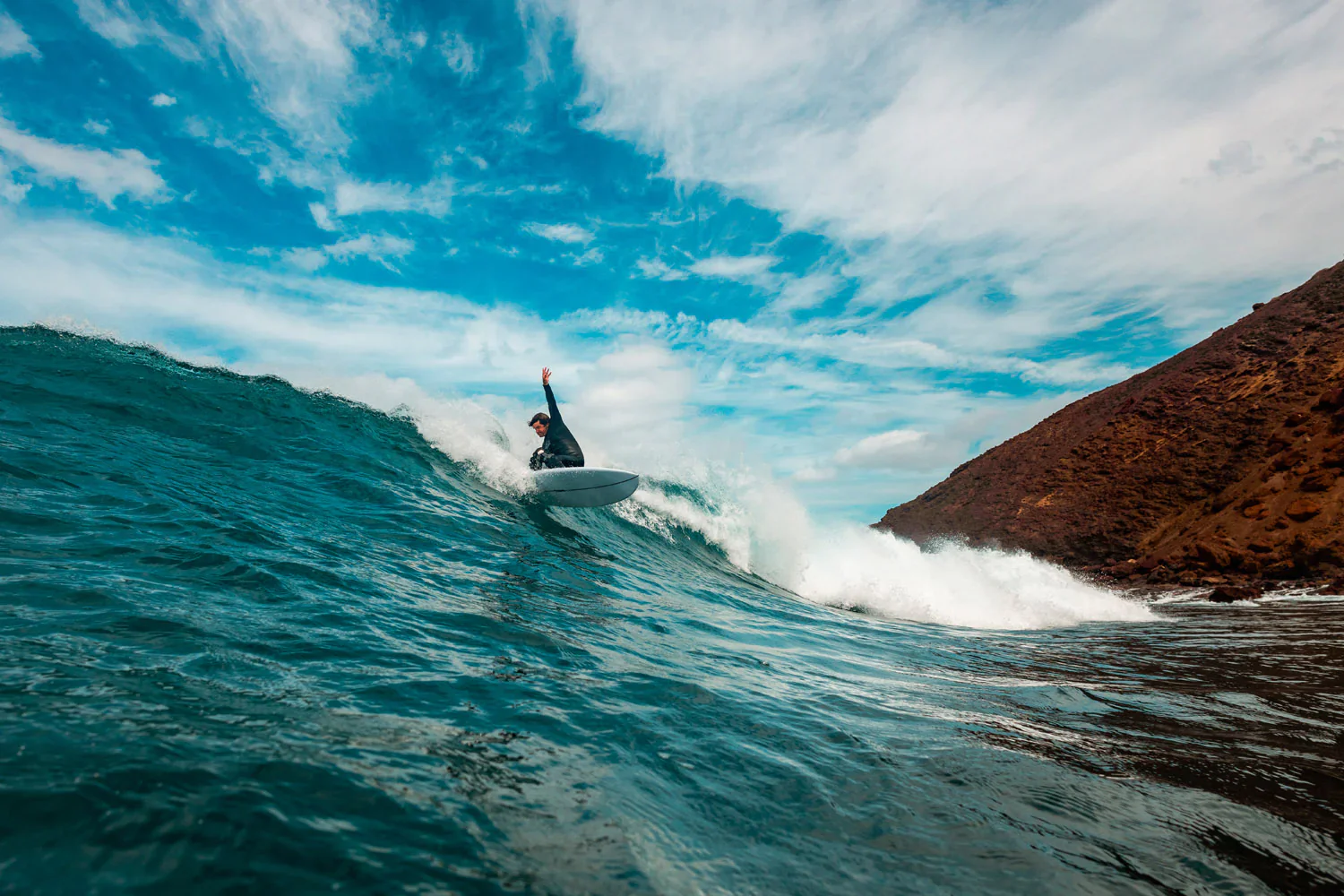 GONG | Surf Steve EPS - Image 14