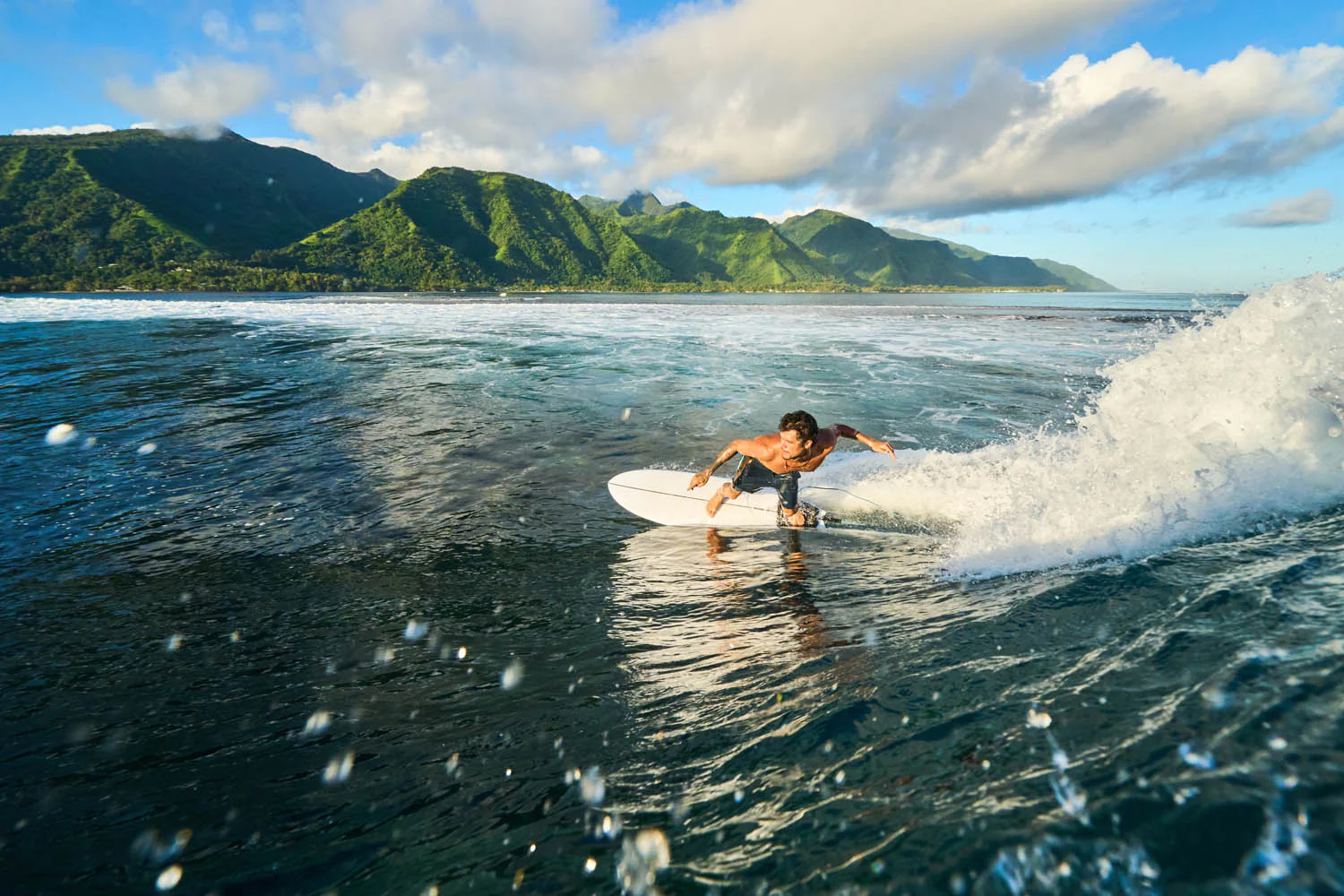 GONG | Surf Vibe EPS - Image 13