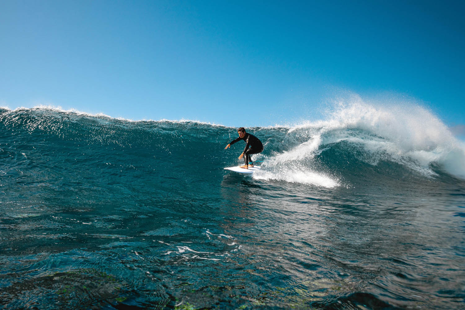 GONG | Surf Vibe EPS - Image 16