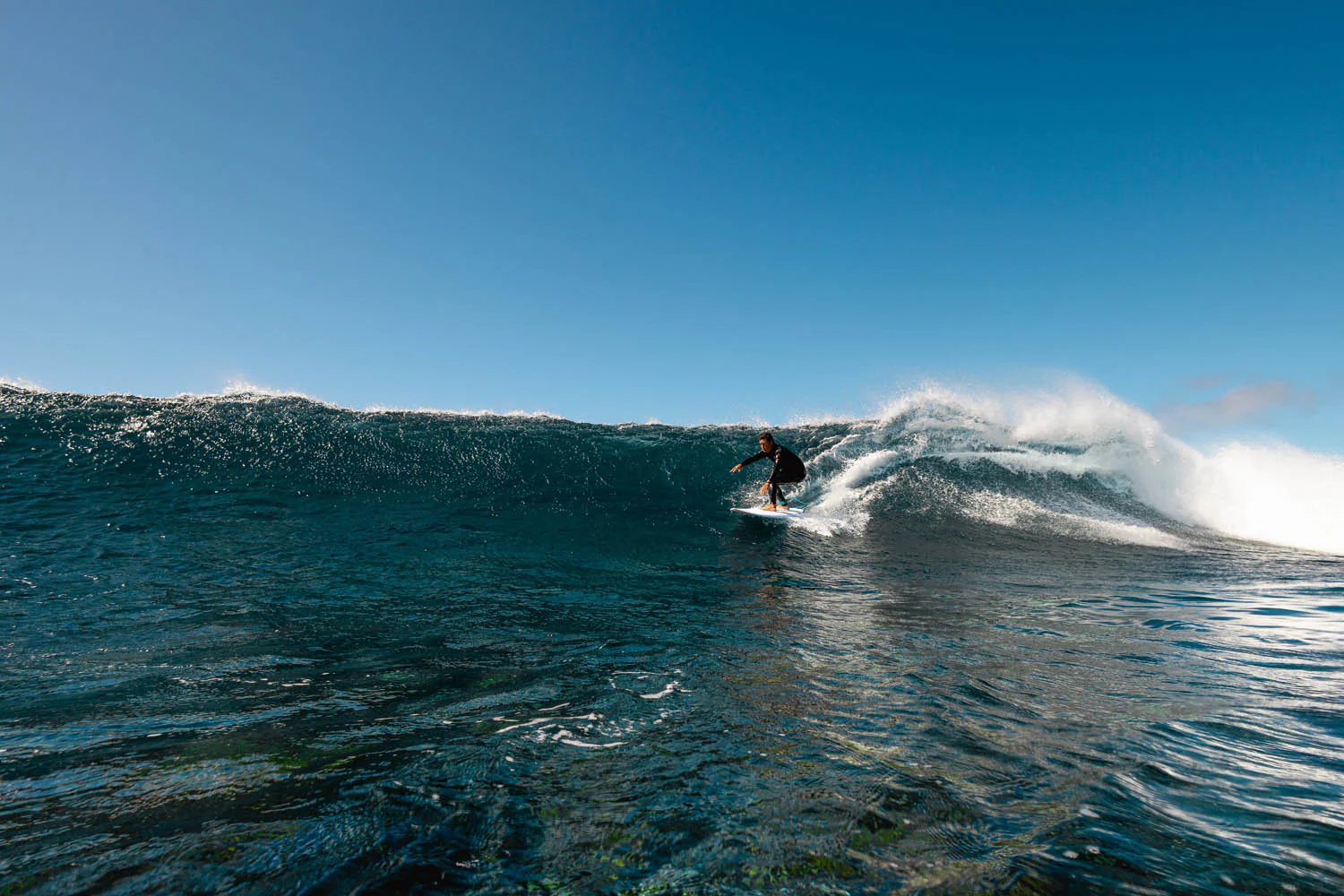 GONG | Surf Vibe EPS - Image 20